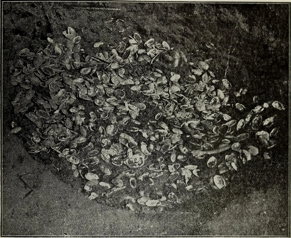 An illustration from Ohio archæological and historical quarterly, 1887, leaf 164