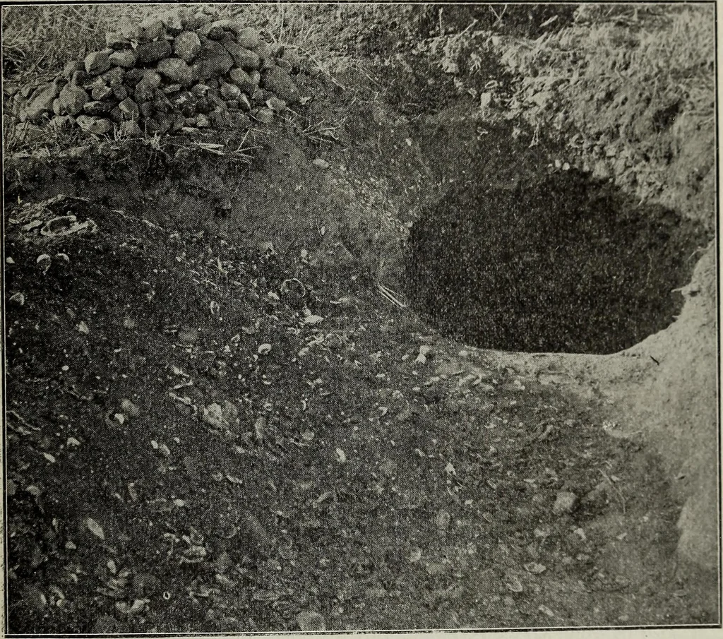 An illustration from Ohio archæological and historical quarterly, 1887, leaf 166