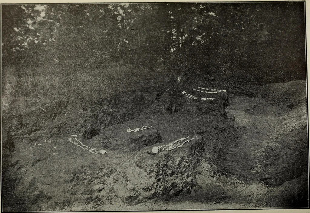 An illustration from Ohio archæological and historical quarterly, 1887, leaf 168