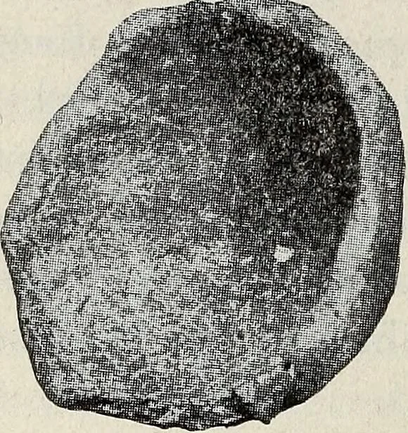 An illustration from Ohio archæological and historical quarterly, 1887, leaf 171