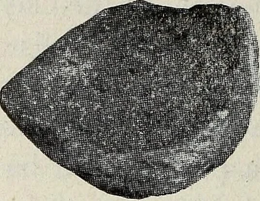 An illustration from Ohio archæological and historical quarterly, 1887, leaf 171
