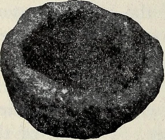 An illustration from Ohio archæological and historical quarterly, 1887, leaf 171