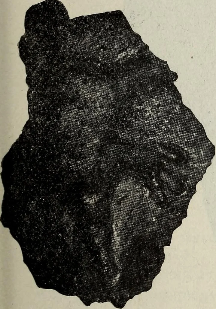 An illustration from Ohio archæological and historical quarterly, 1887, leaf 172