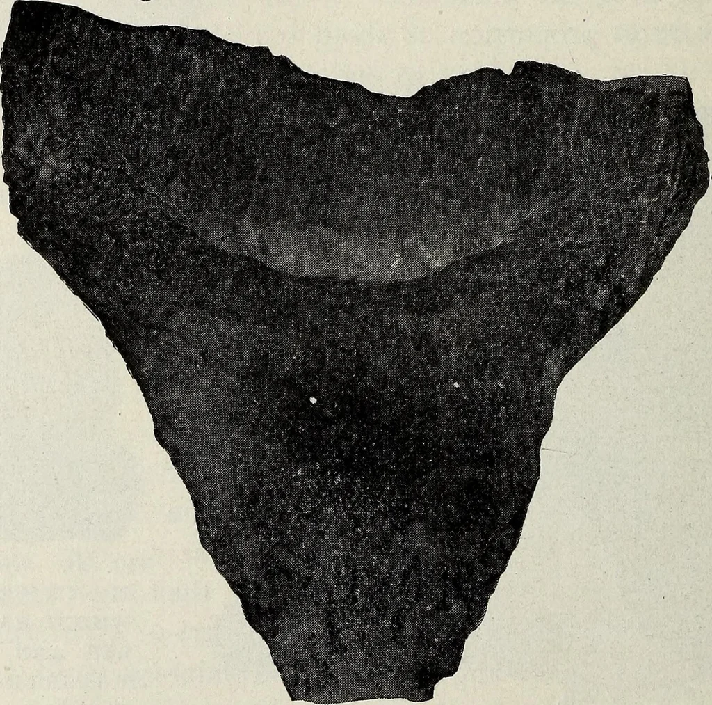 An illustration from Ohio archæological and historical quarterly, 1887, leaf 173