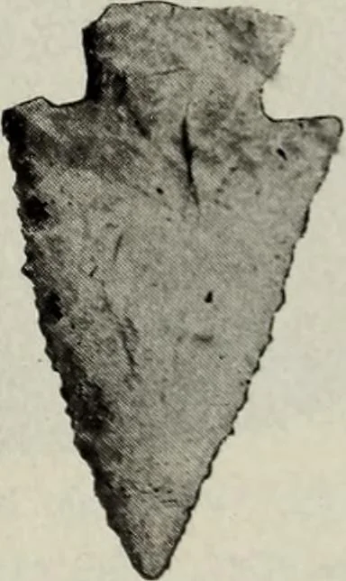 An illustration from Ohio archæological and historical quarterly, 1887, leaf 174