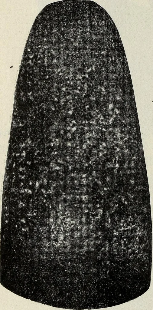 An illustration from Ohio archæological and historical quarterly, 1887, leaf 175