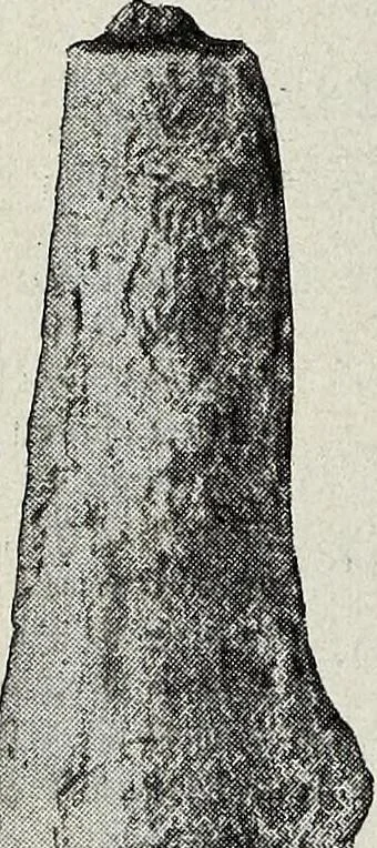 An illustration from Ohio archæological and historical quarterly, 1887, leaf 177