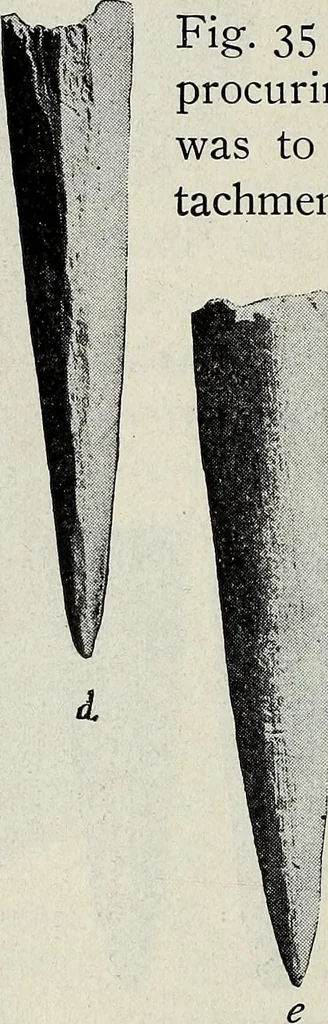 An illustration from Ohio archæological and historical quarterly, 1887, leaf 177