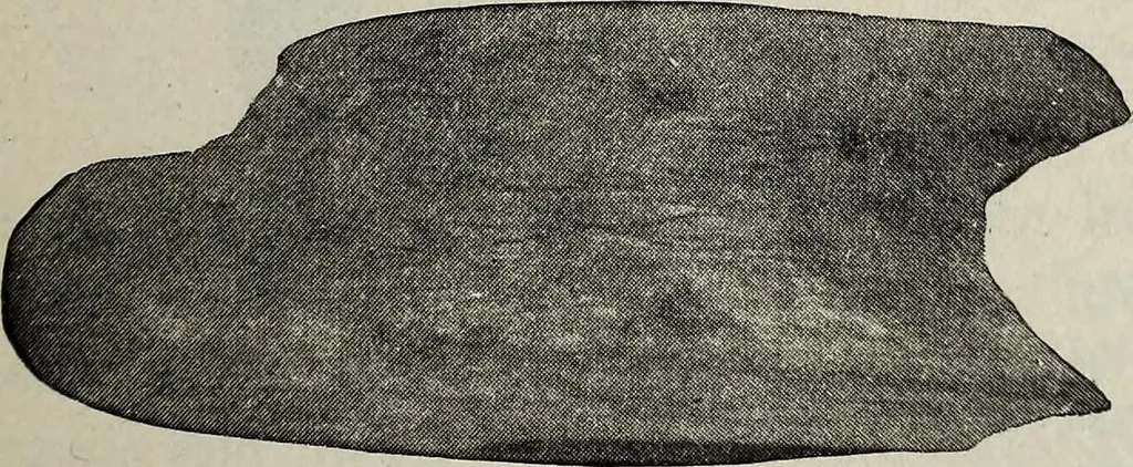 An illustration from Ohio archæological and historical quarterly, 1887, leaf 180