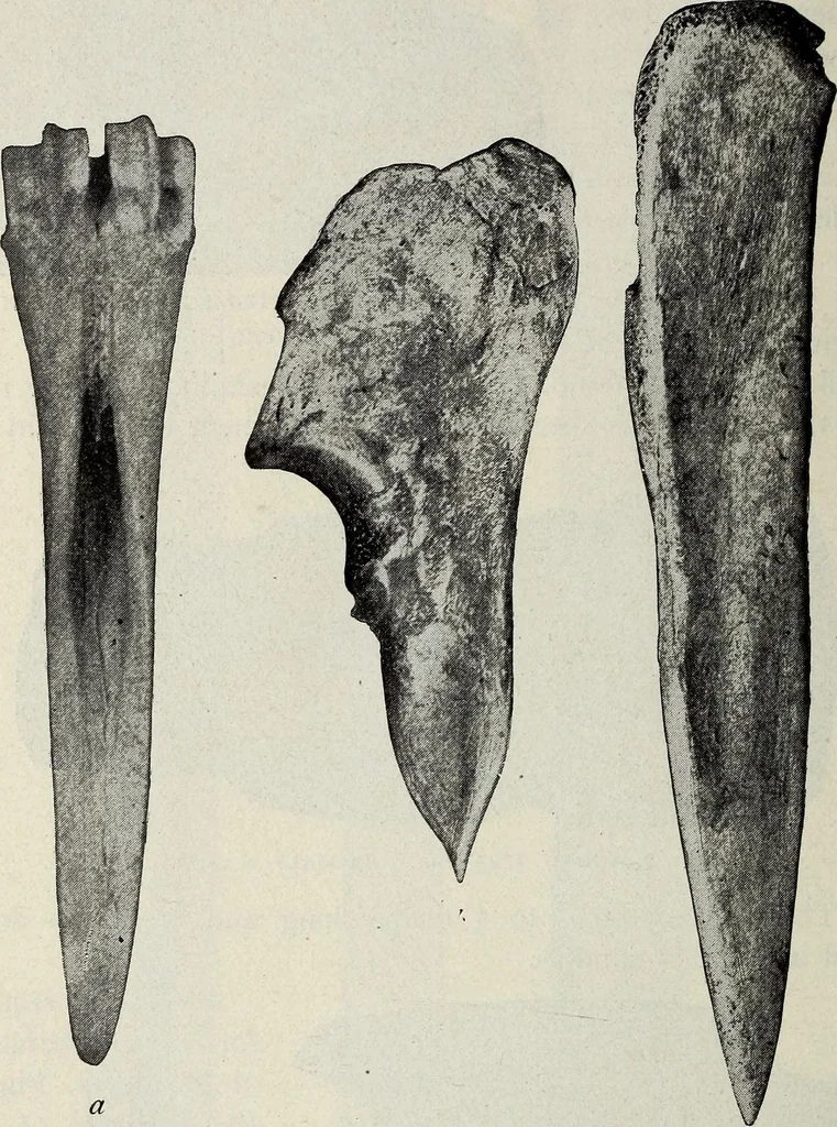 An illustration from Ohio archæological and historical quarterly, 1887, leaf 181