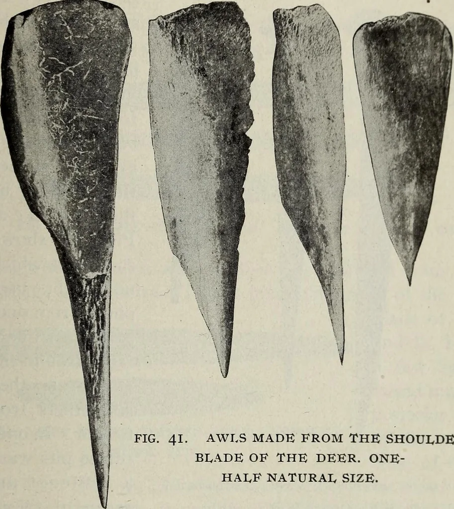 An illustration from Ohio archæological and historical quarterly, 1887, leaf 182