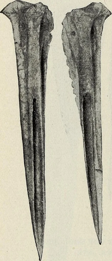 An illustration from Ohio archæological and historical quarterly, 1887, leaf 183