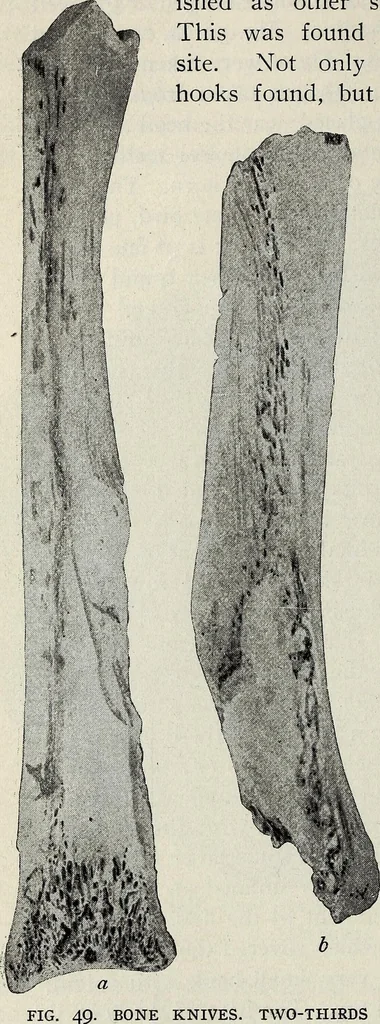 An illustration from Ohio archæological and historical quarterly, 1887, leaf 187