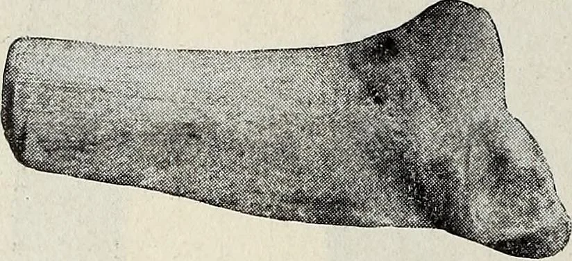 An illustration from Ohio archæological and historical quarterly, 1887, leaf 189