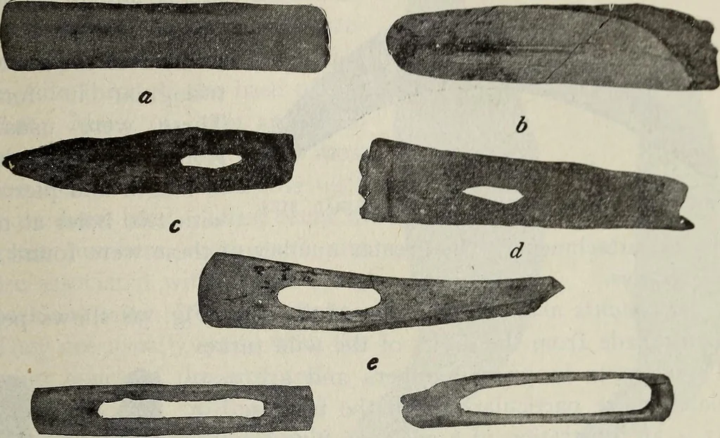 An illustration from Ohio archæological and historical quarterly, 1887, leaf 190