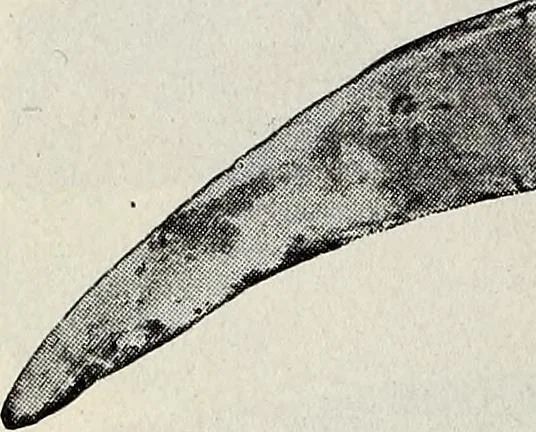 An illustration from Ohio archæological and historical quarterly, 1887, leaf 191