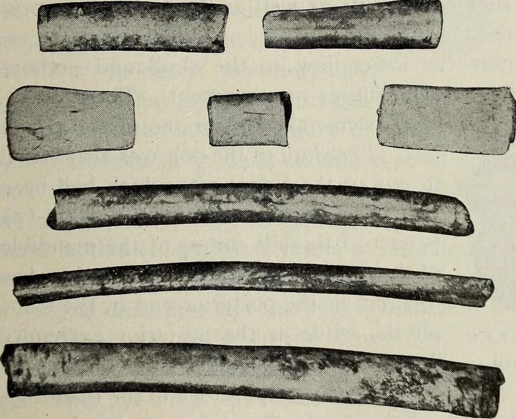 An illustration from Ohio archæological and historical quarterly, 1887, leaf 192