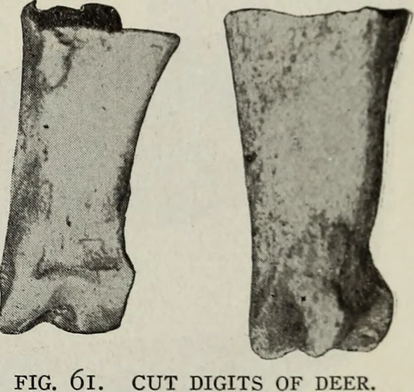 An illustration from Ohio archæological and historical quarterly, 1887, leaf 194