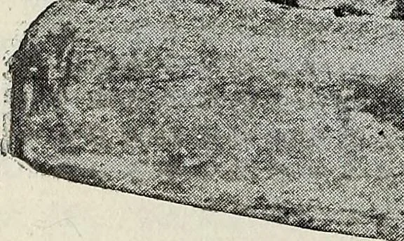 An illustration from Ohio archæological and historical quarterly, 1887, leaf 195