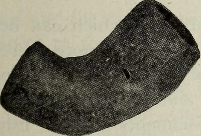 An illustration from Ohio archæological and historical quarterly, 1887, leaf 196