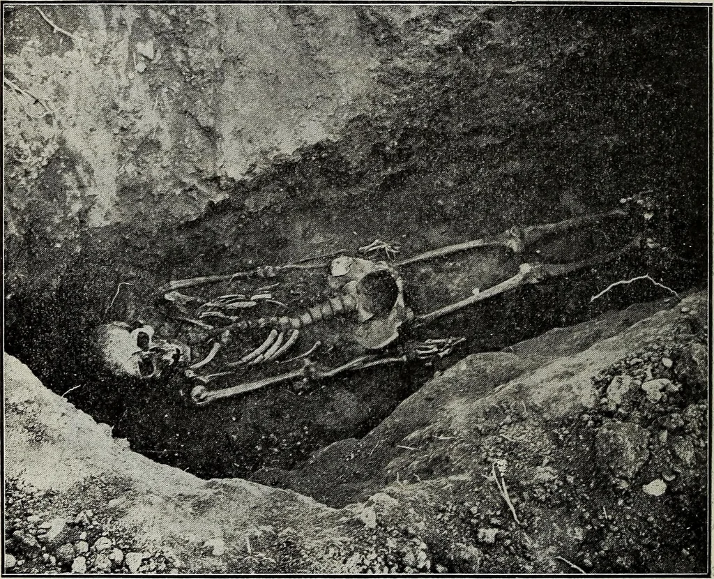 An illustration from Ohio archæological and historical quarterly, 1887, leaf 197