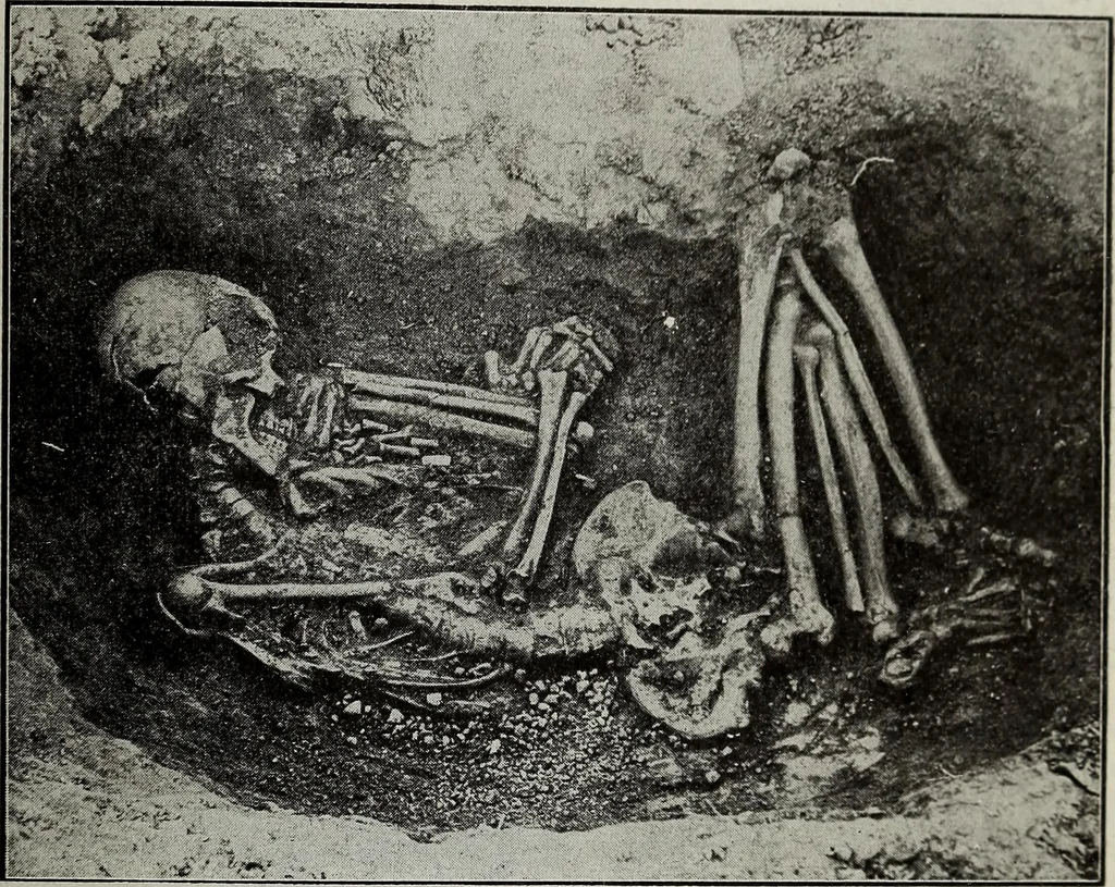 An illustration from Ohio archæological and historical quarterly, 1887, leaf 198