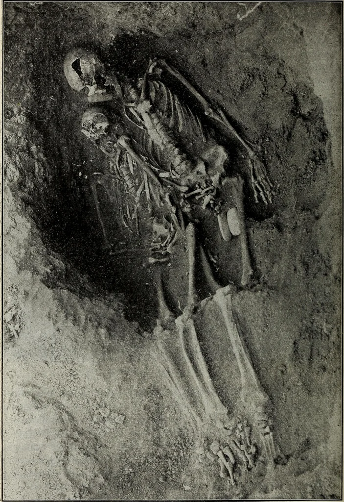An illustration from Ohio archæological and historical quarterly, 1887, leaf 199