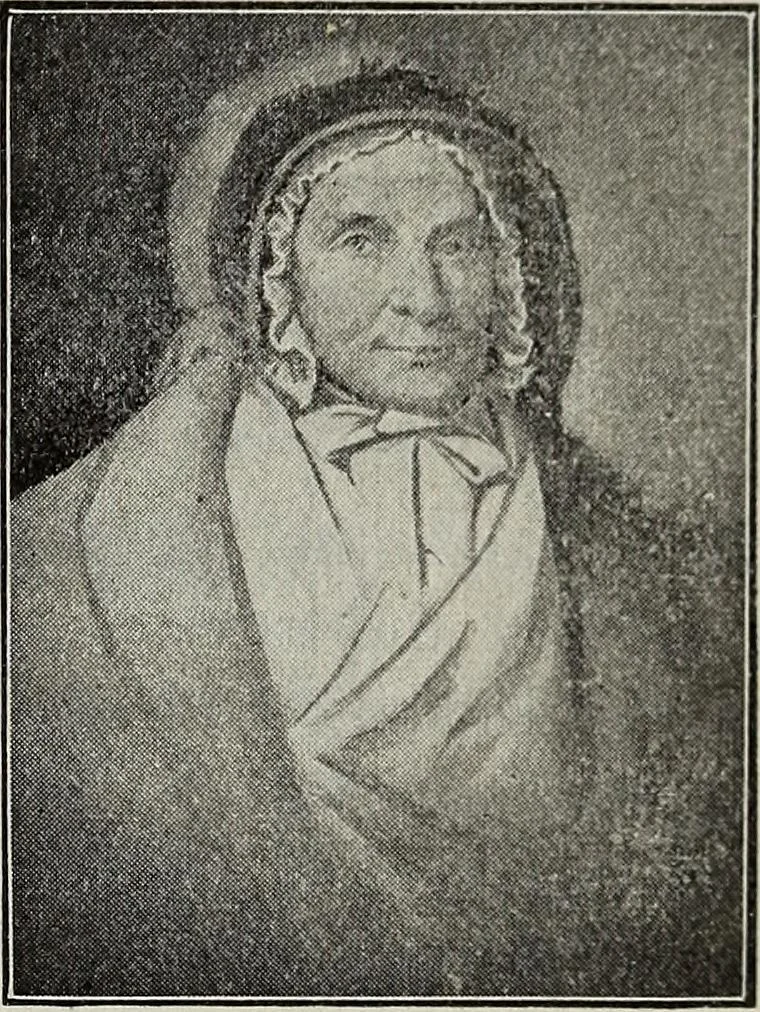 An illustration from Ohio archæological and historical quarterly, 1887, leaf 310