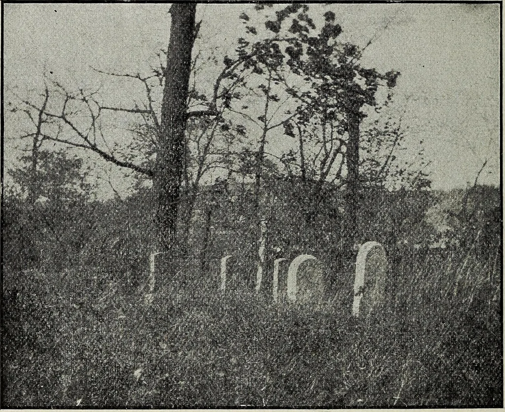 An illustration from Ohio archæological and historical quarterly, 1887, leaf 341