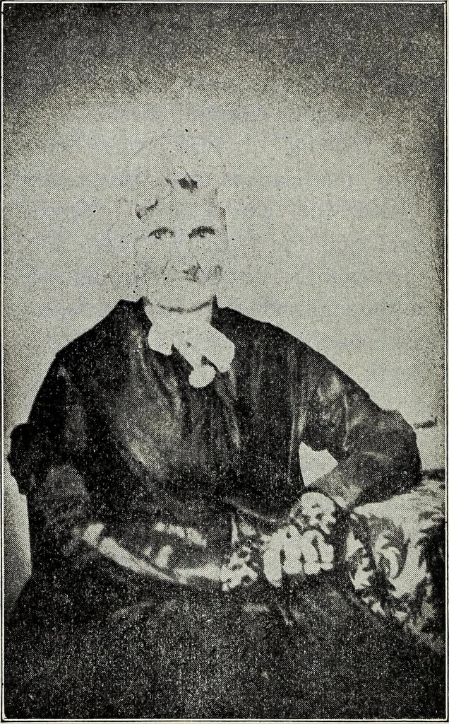 An illustration from Ohio archæological and historical quarterly, 1887, leaf 355