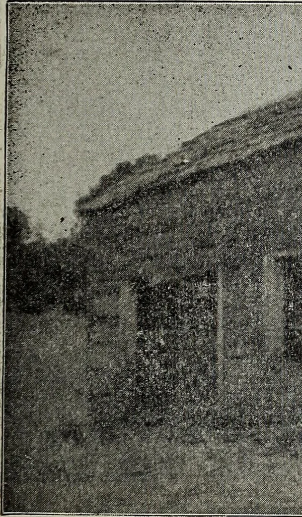 An illustration from Ohio archæological and historical quarterly, 1887, leaf 358