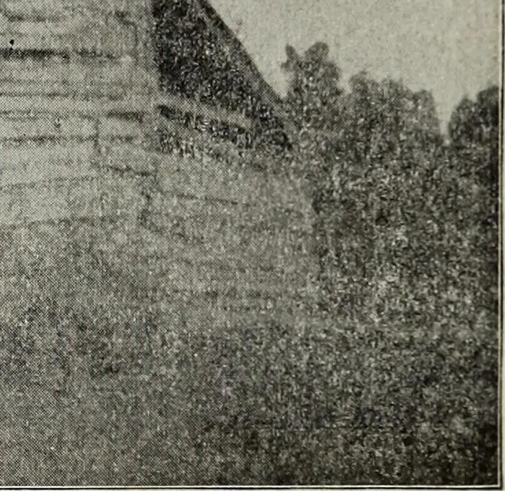 An illustration from Ohio archæological and historical quarterly, 1887, leaf 358