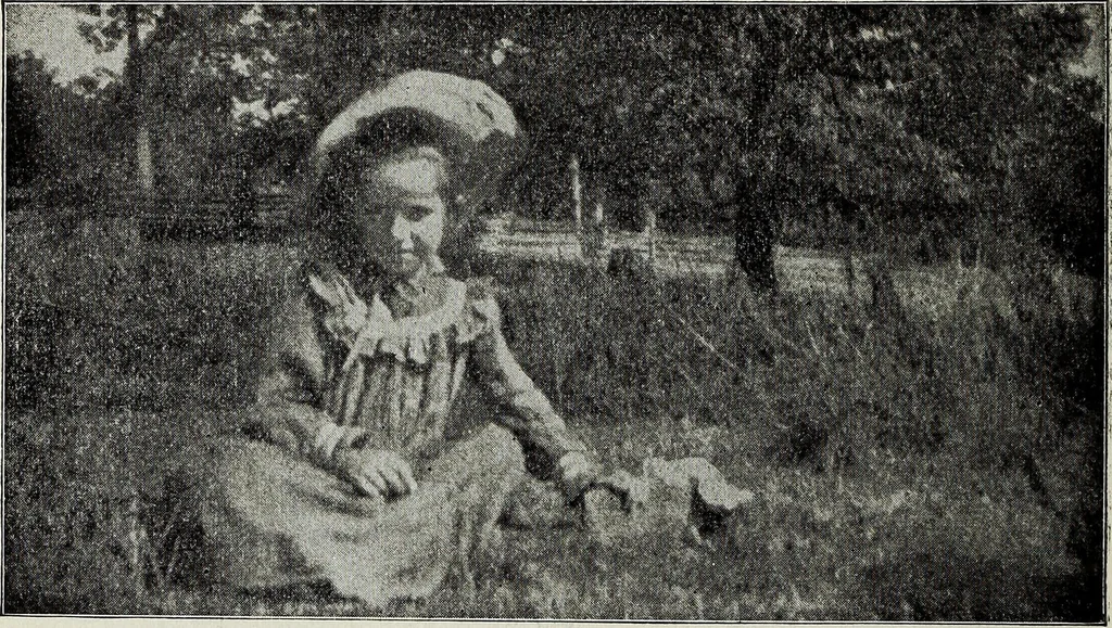 An illustration from Ohio archæological and historical quarterly, 1887, leaf 359