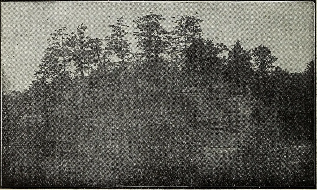 An illustration from Ohio archæological and historical quarterly, 1887, leaf 455