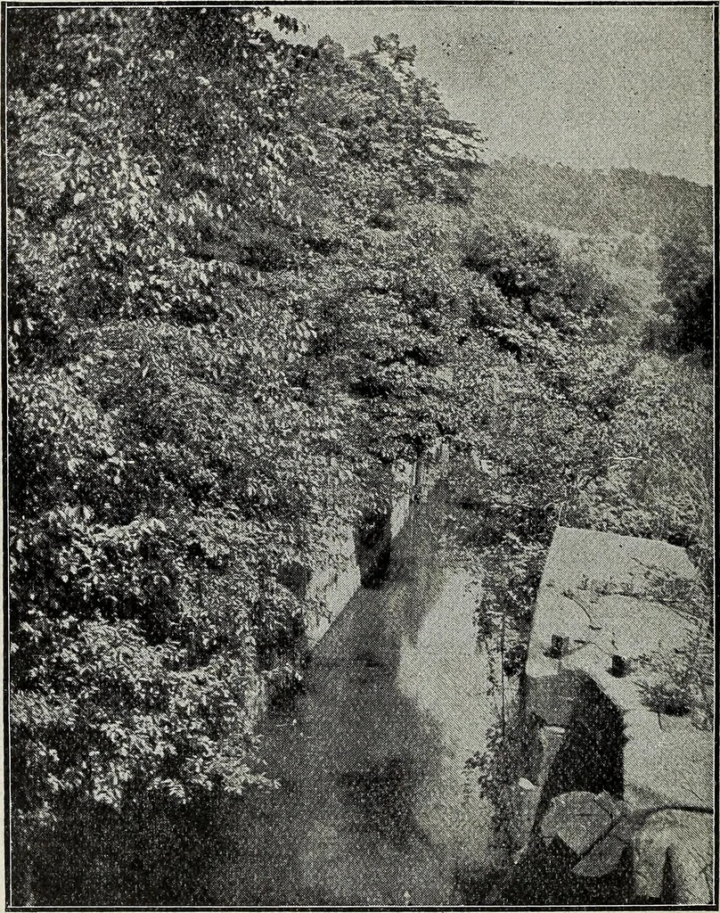 An illustration from Ohio archæological and historical quarterly, 1887, leaf 459