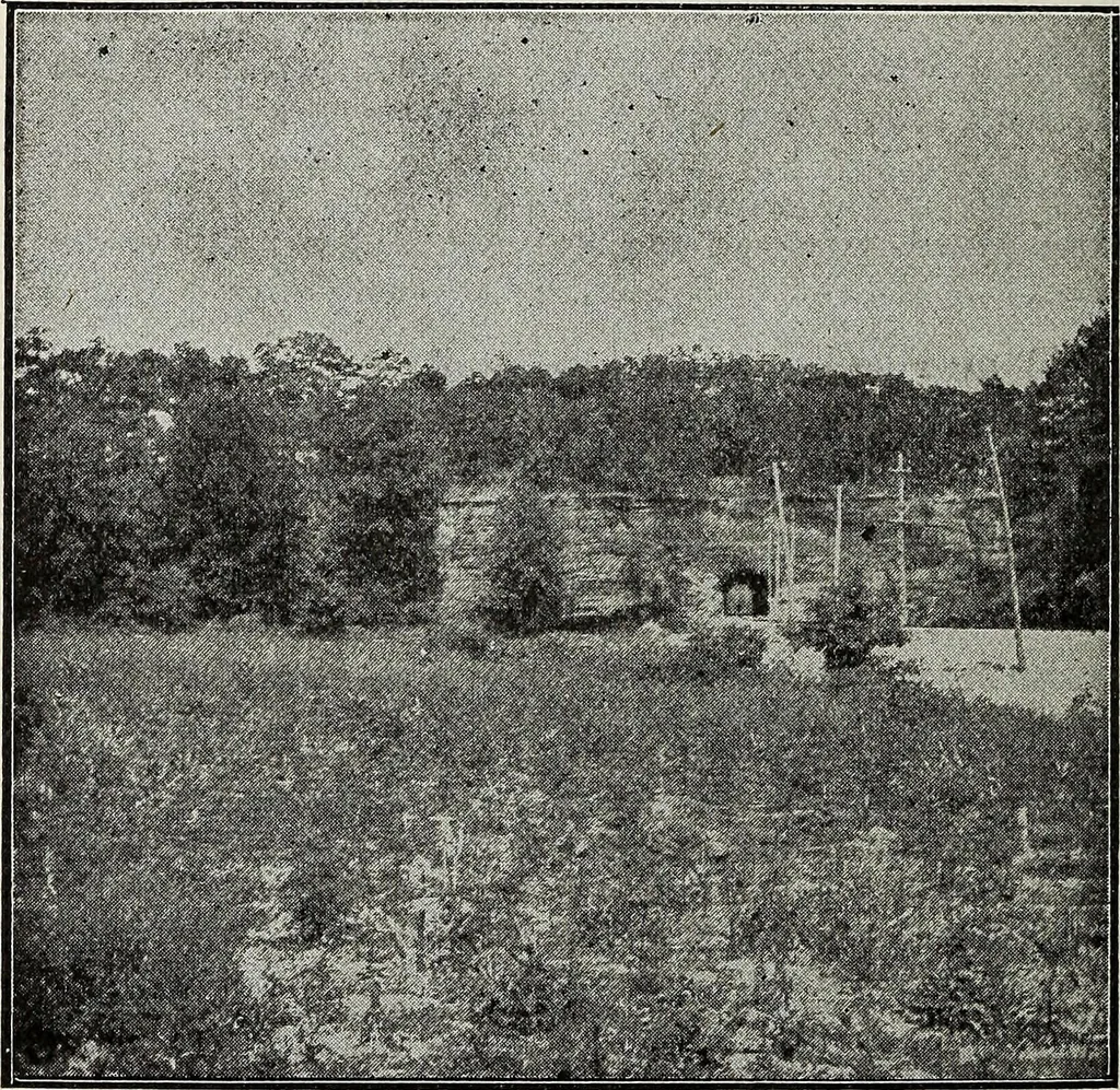 An illustration from Ohio archæological and historical quarterly, 1887, leaf 465