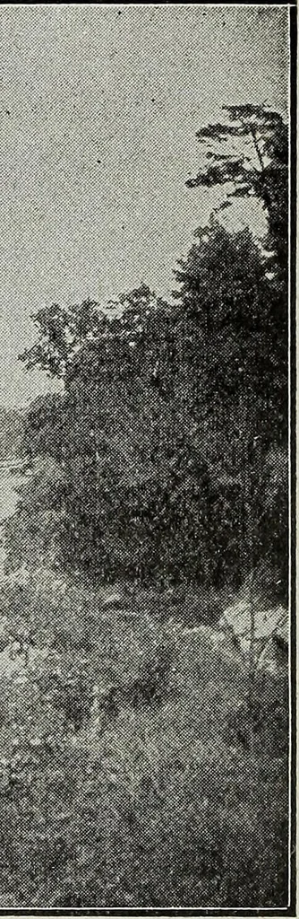 An illustration from Ohio archæological and historical quarterly, 1887, leaf 467
