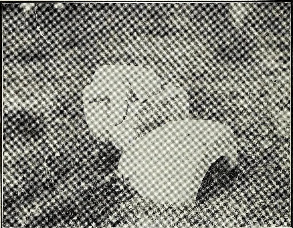 An illustration from Ohio archæological and historical quarterly, 1887, leaf 83