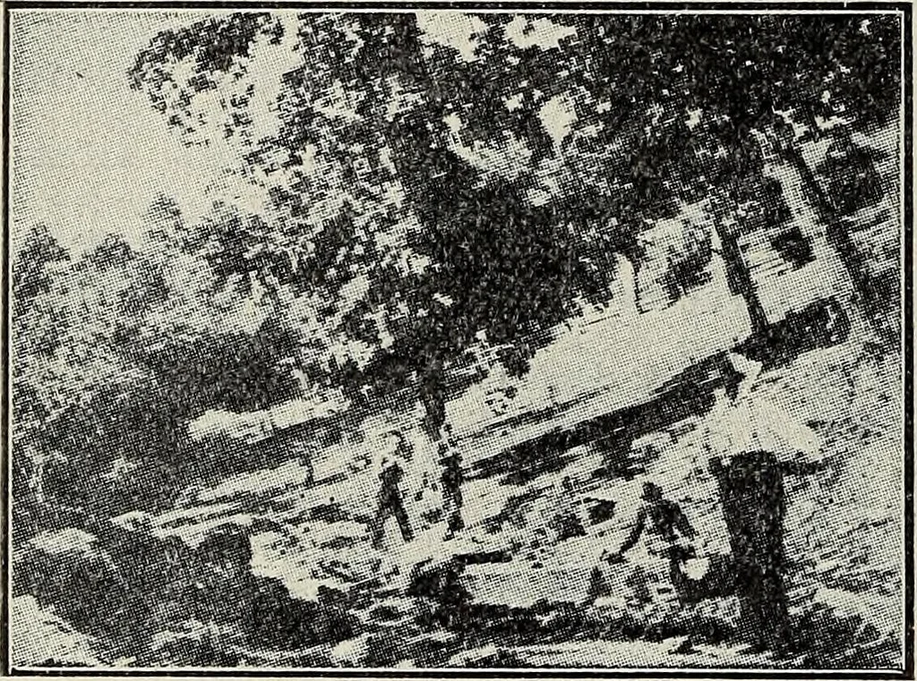 An illustration from Ohio archæological and historical quarterly, 1887, leaf 95