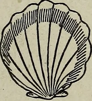 An illustration from Ohio archæological and historical quarterly, 1887, leaf 338