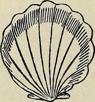 An illustration from Ohio archæological and historical quarterly, 1887, leaf 99