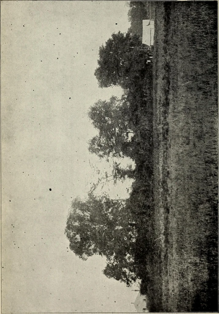 An illustration from Ohio archæological and historical quarterly, 1887, leaf 127