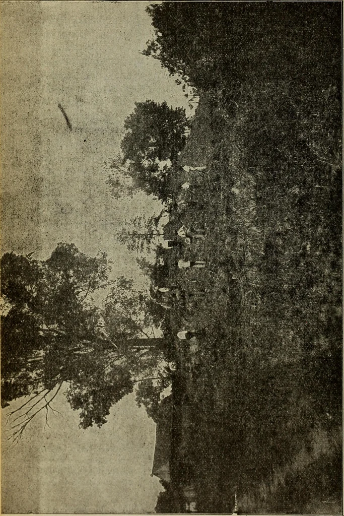An illustration from Ohio archæological and historical quarterly, 1887, leaf 133