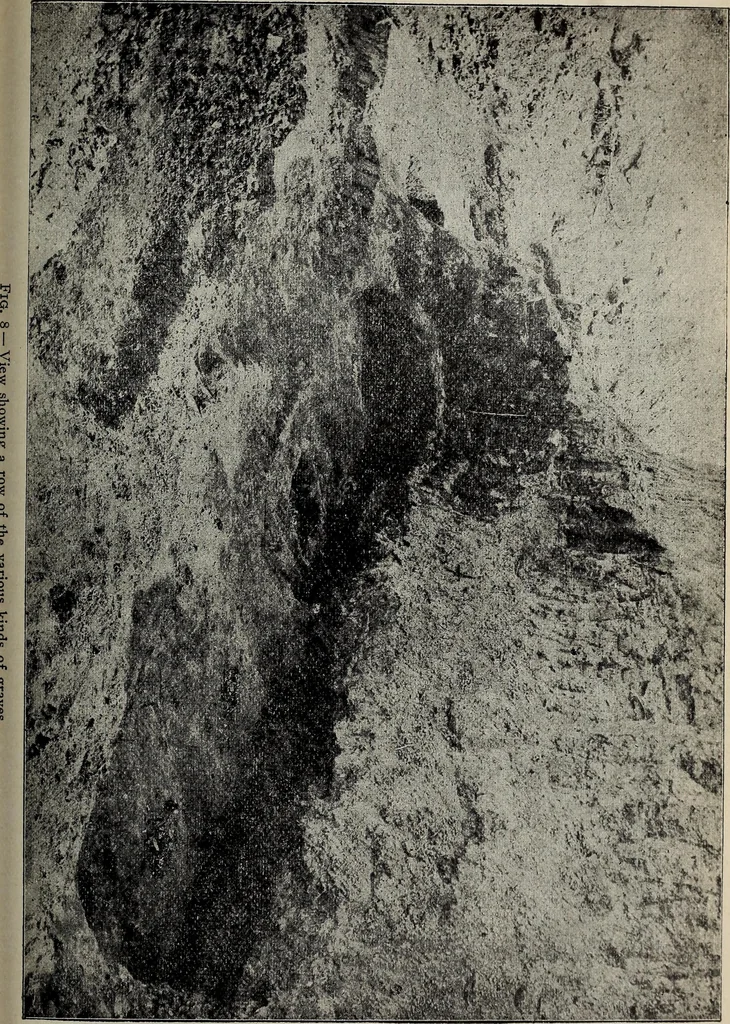 An illustration from Ohio archæological and historical quarterly, 1887, leaf 150