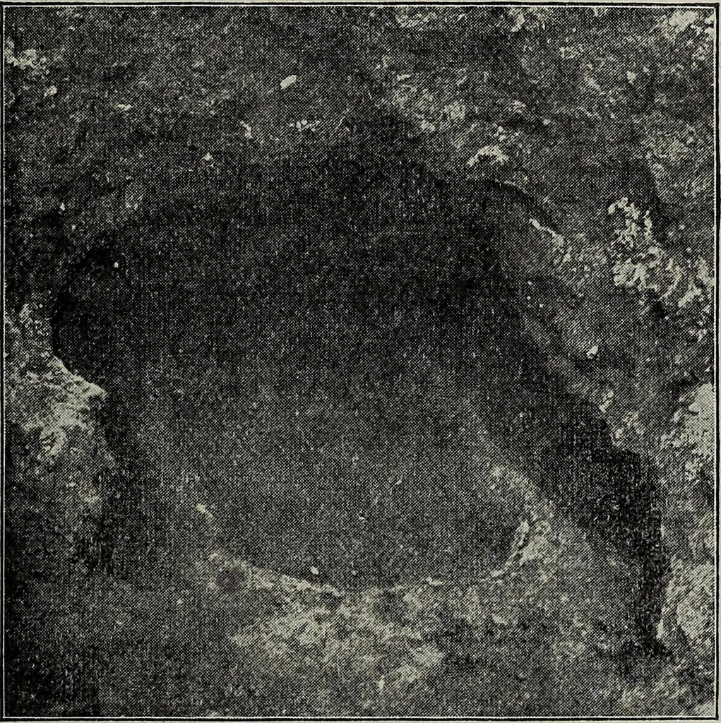An illustration from Ohio archæological and historical quarterly, 1887, leaf 156