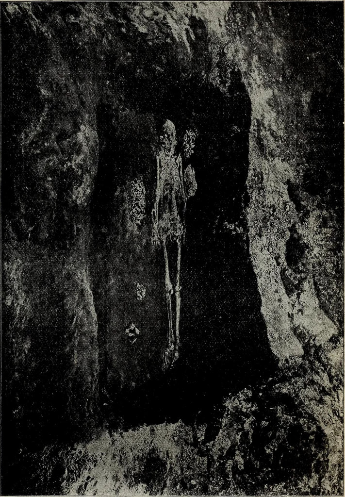 An illustration from Ohio archæological and historical quarterly, 1887, leaf 158