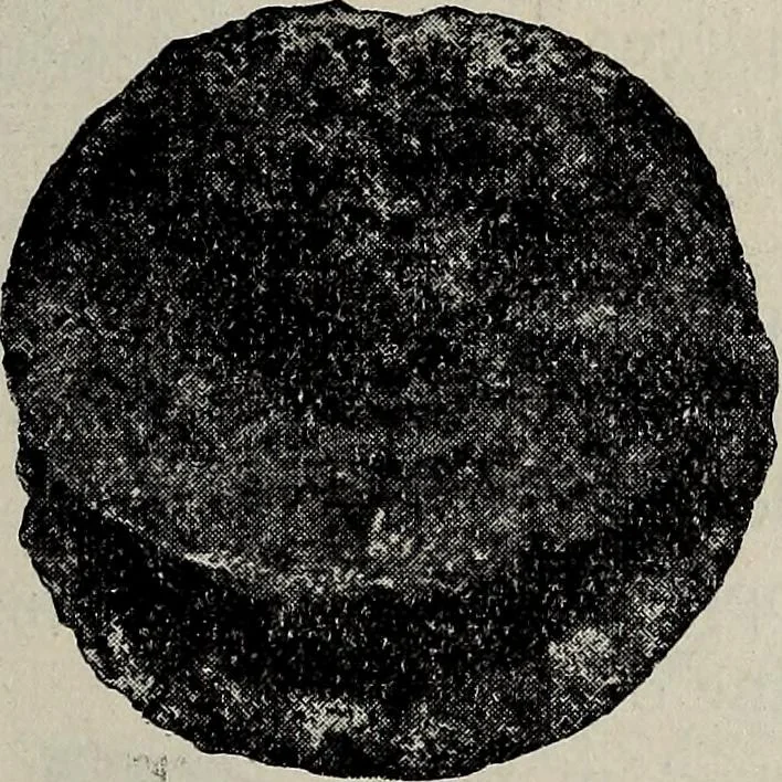 An illustration from Ohio archæological and historical quarterly, 1887, leaf 166