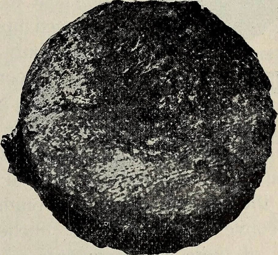 An illustration from Ohio archæological and historical quarterly, 1887, leaf 166