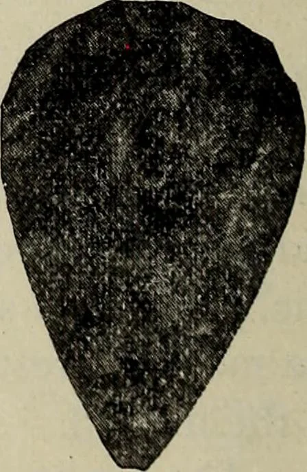 An illustration from Ohio archæological and historical quarterly, 1887, leaf 169