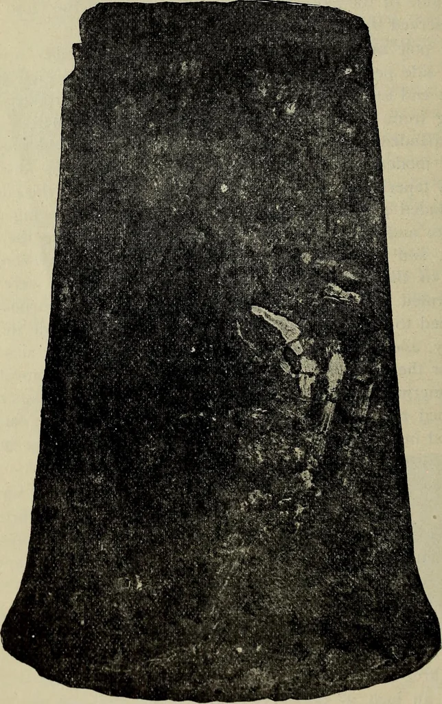 An illustration from Ohio archæological and historical quarterly, 1887, leaf 171
